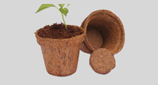 Coir Baskets